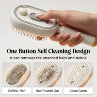 2026 New Electric Spray Air Cushion Massage Comb,5 in 1 Rechargeable Air Cushion Hair Brush, Anti-Frizz, Scalp Care & Hydration, Wet/Dry Use, Premium Hair Care Tool for Women